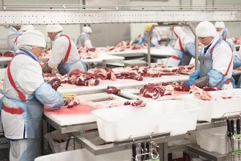 Мираторг в настоящее время является крупнейшим производителем свинины в Российской Федерации. (Фото: Мираторг)
