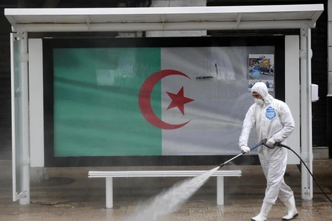 Распыление дезинфицирующего средства на улице в столице Алжира (Источник: Синьхуа / ВИА)