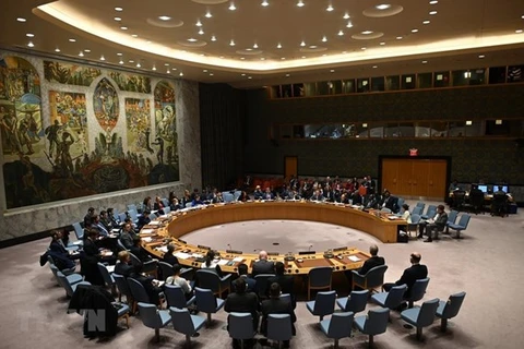 Заседание СБ ООН в Нью-Йорке (Фото: AFP/ВИА) 