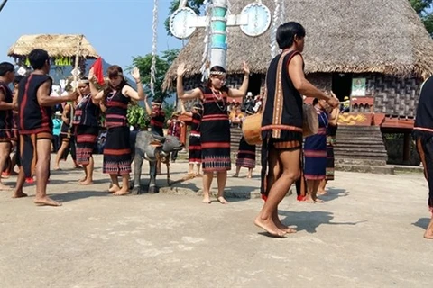 Люди народности Коту исполняют традиционный танец на праздновании нового урожая риса в деревне Таланг в районе Хоаванг, Дананг. (Фото: ВИА)