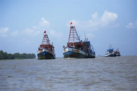 Рыболовные суда провинции Ниньтхуан работают в открытом море под строгим надзором и управлением. (Фото: ВИА)