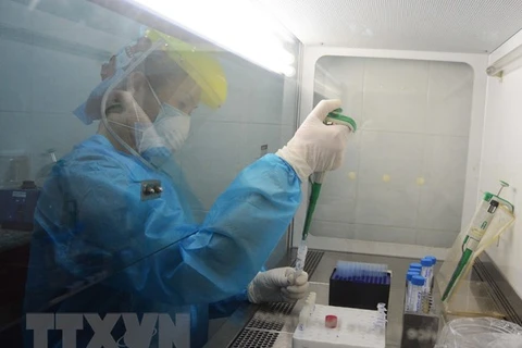 В лаболатории, где проводят тестирование на вирус SARS-CoV-2. (Фото: Ван Зунг/ВИА)
