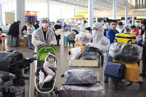 Граждане Вьетнама проходят регистрацию в аэропорту Шереметьево 12 мая. (Фото: Чан Хиеу /ВИА)