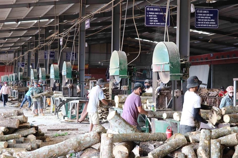 Производственная деятельность в промышленном парке Чада, Джалай. (Фото: Хоай Нам / ВИА)