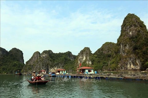 Туристы посещают залив Байтылонг в провинции Куангнинь (Фото: ВИА)