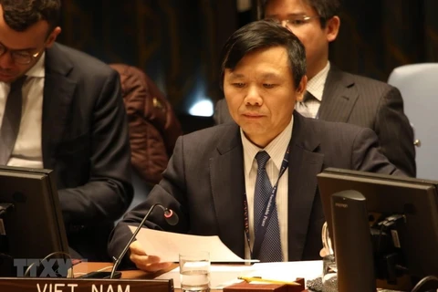 Глава вьетнамской миссии при Организации Объединенных Наций и посол Данг Динь Куи. (Фото: Хыу Тхань/ВИА)