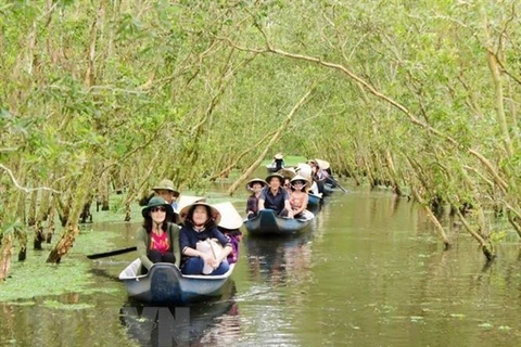 Мелалеуковый лес Чашы в провинции Анжанг является одной из самых популярных достопримечательностей в дельте реки Меконг (Фото: ВИА)
