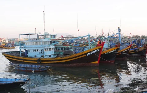 Оффшорные рыбацкие лодки в центральной провинции Биньтхуан (Фото: ВИА)