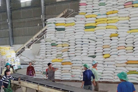 За первые два месяца 2020 года, Вьетнам экспортировал 900 тысяч тонн риса, что эквивалентно 410 млн. долларов США. (Фото: Дык Тхань)