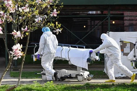 Медицинский персонал перевозит тело умершего от Covid-19 в Нью-Йорке, США. (Фото: AFP/ВИА).