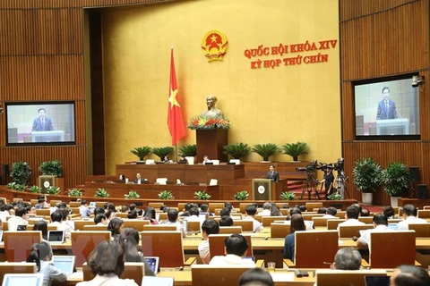 Заседание Национального собрания. (Фото: ВИА)