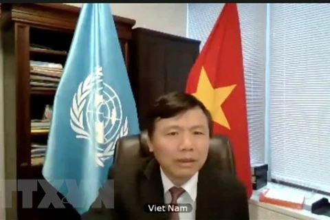 Посол Данг Динь Куи. (Фото: Хыу Тхань/ВИА)