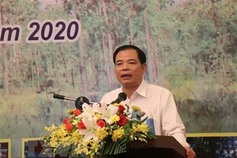 Министр сельского хозяйства и развития деревни Нгуен Суан Кыонг выступает на мероприятии. (Фото: ВИА)
