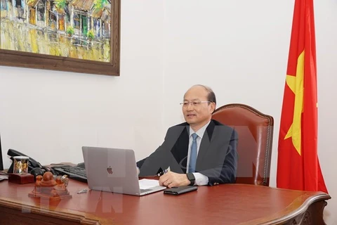 Посол Ле Зунг, постоянный представитель Вьетнама в Международном агентстве по атомной энергии (МАГАТЭ). (Фото: ВИА)