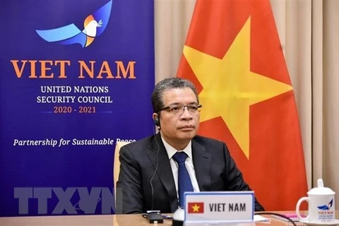 Заместитель министра иностранных дел Данг Минь Хой (Фото: ВИА)