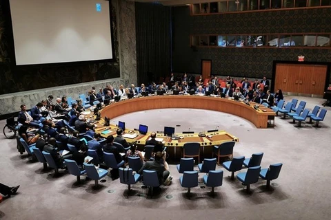 На заседании СБ ООН (Фото: ВИА)