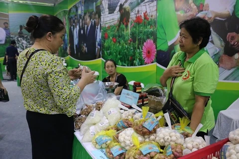 Чеснок и лук-шалот были представлены на недавней выставке продуктов ОКОП Ханоя (Фото: ВИА)