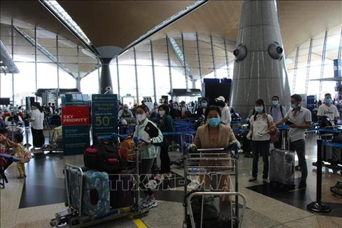 Около 310 вьетнамских граждан были доставлены из Малайзии 5 июля. (Фото: ВИА)