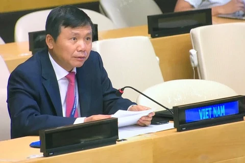 Данг Динь Куи, глава постоянной миссии Вьетнама при ООН, выступает на заседании Совета Безопасности ООН 14 июля (фото: ВИА)