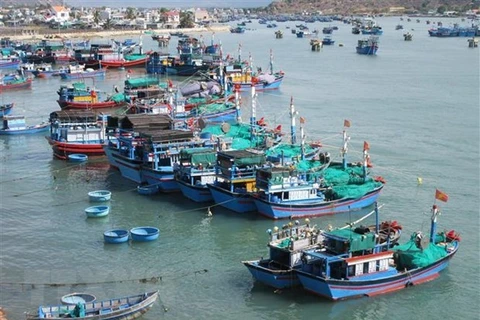 Стыковка рыбацких лодок в Замнай (лагуна Най) района Ниньхай, провинция Ниньтхуан (Фото: ВИА)