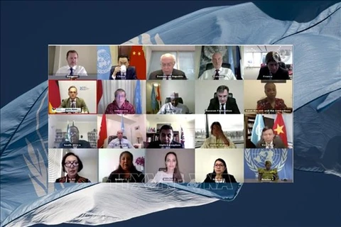 Онлайн-заседание Совета Безопасности ООН (Фото: ВИА)