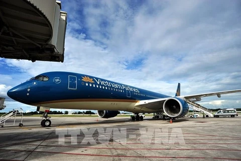 Самолеты Vietnam Airlines. (Фото: ВНА)