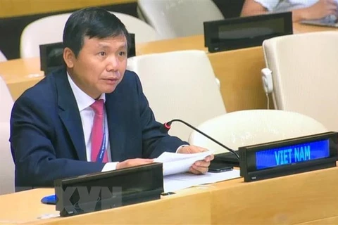 Посол Данг Динь Куи, глава представительства Вьетнама при Организации Объединенных Наций (фото: ВИА)
