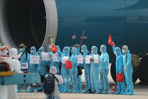 Вьетнамские граждане выразили свою искреннюю благодарность КПВ и правительству Вьетнама за поддержку и помощь в трудные минуты из-за эпидемии COVID-19. (Фото: ВИА).