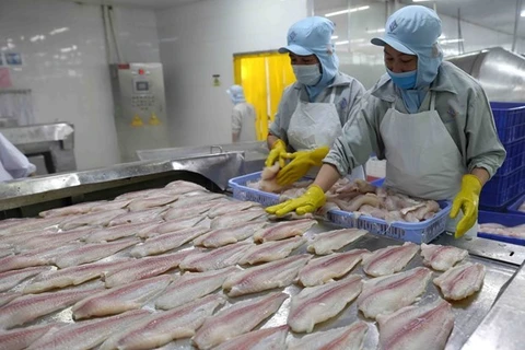 Переработка рыбы на экспорт (Фото: ВИА)