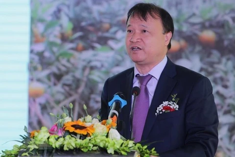 Заместитель министра промышленности и торговли До Тхань Хай Иллюстративное изображение (Фото: ВИА)