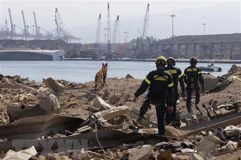 Спасатели ищут жертв под завалами 7 августа после взрыва 4 августа в Бейруте, Ливан (Фото: AFP/ВИА)