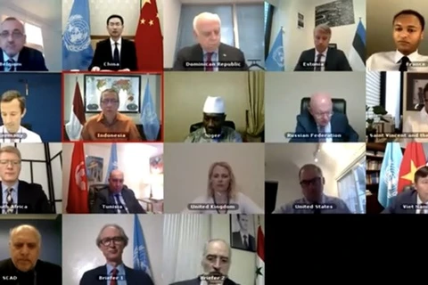 Участники видеоконференции СБ ООН, посвященной политической ситуации в Сирии 19 августа (Фото: ВИА)