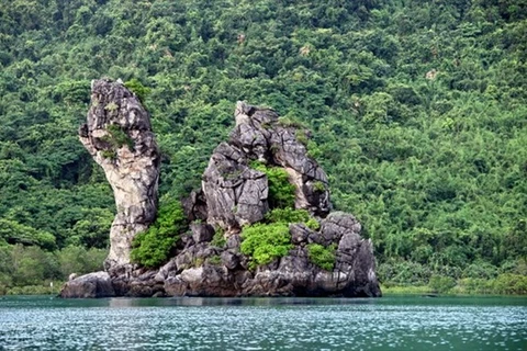 Национальный парк Байтылонг, расположенный в заливе Байтылонг, недалеко от признанного ЮНЕСКО залива Халонг, является природным сокровищем Вьетнама. (Источник: ВИА)