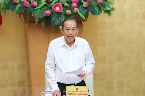 Постоянный заместитель премьер-министра Чыонг Хоа Бинь выступает на мероприятии (Фото: ВИА)