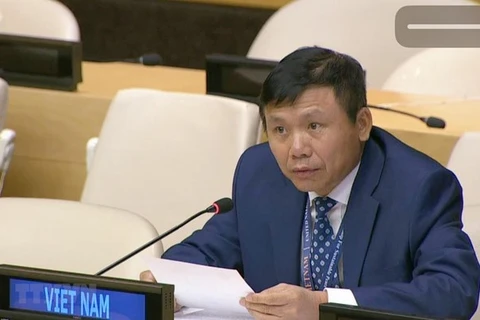 Посол Данг Динь Куи, глава Постоянного представительства Вьетнама при ООН (Источник: ВИА)