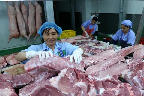 За последнюю неделю цены на живых свиней по всей стране постепенно снижались каждый день. (Фото: vnmedia.vn)