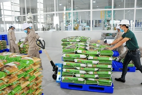 В июле Vinaseed (член группы PAN) экспортировал VJ Pearl Rice и ароматный рис RVT в Нидерланды и Чехию (фото любезно предоставлено Vinaseed).