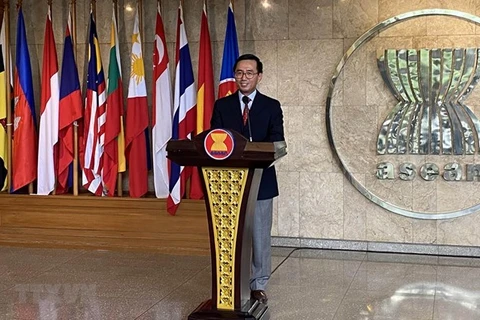 Посол Вьетнама Чан Дык Бинь (Фото: ВИА)