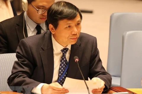 Посол Данг Динь Куи, глава представительства Вьетнама при ООН (Фото: ВИА) 