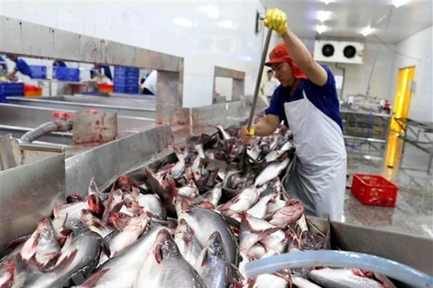 Департамент по контролю за продуктами и лекарствами Саудовской Аравии (SFDA) разрешил 12 вьетнамским компаниям возобновить экспорт морепродуктов в страну. (Фото: ВИА) 