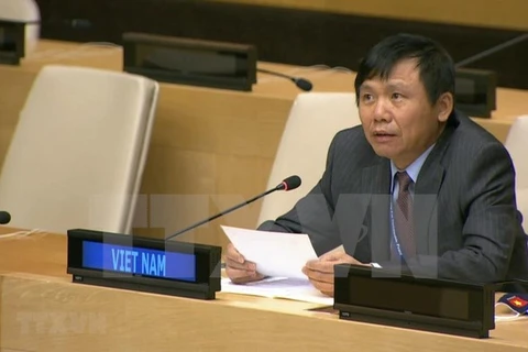 Посол Данг Динь Куи, постоянного представительства Вьетнама при ООН. (Фото: ВИА)