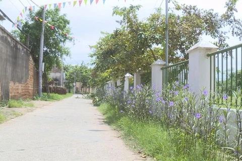 Асфальтированная дорога в коммуне Донгтам (Фото: ВИА)