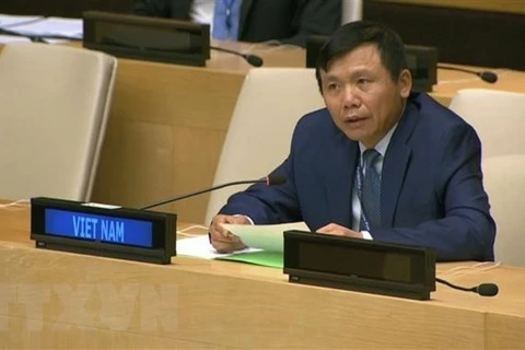 Посол Данг Динь Куи, глава постоянного представительства Вьетнама при Организации Объединенных Наций (Фото: ВИА) 
