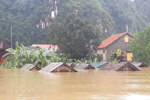 Более 400 домов в Куангбинь затоплены паводковыми водами (Иллюстративное фото: ВИА)