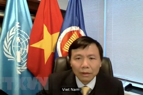 Посол Данг Динь Куи присоединился к заседанию СБ ООН посредством видеоконференции. (Фото: ВИА)
