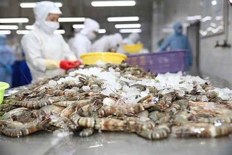 Линия по переработке замороженных креветок на предприятии Minh Phu Seafood в южной провинции Киенжанг. (Фото haiquanonline.com.vn)