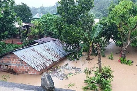 Наводнения затопили многие дома в центральном регионе (Источник: ВИА)