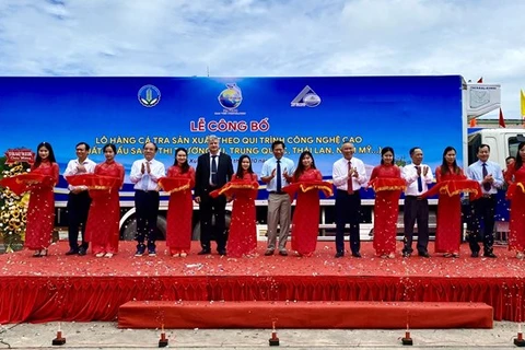 Мероприятие, посвященное экспорту рыбопродукции компании Nam Viet Group, изготовленной с использованием высоких технологий, 30 октября (Фото: ВИА)