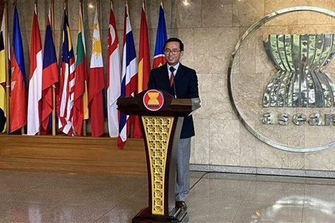 Посол Чан Дык Бинь, глава постоянного представительства Вьетнама при АСЕАН. (Фото: ВИА)