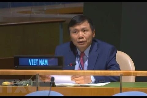 Посол Данг Динь Куи, глава миссии Вьетнама при ООН. (Фото: ВИА)